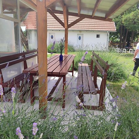 Mirella Rooms Palić Exterior foto